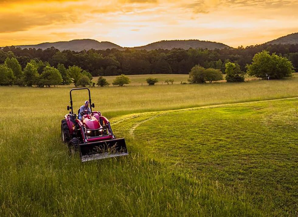 Yanmar Berry May2016 DJI 0449 Large
