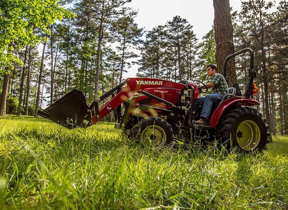 Yanmar Berry May2016 IMG 6724 Large