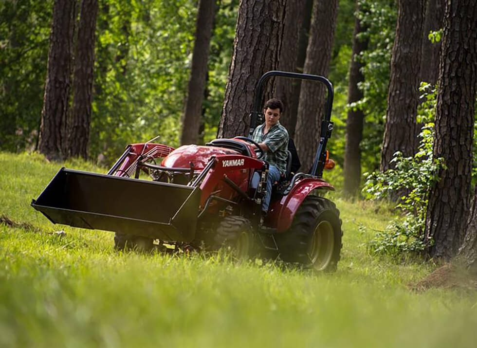 Yanmar Berry May2016 IMG 6807 Large